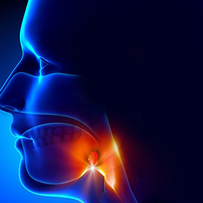 آناتومی و فیزیولوژی زبان