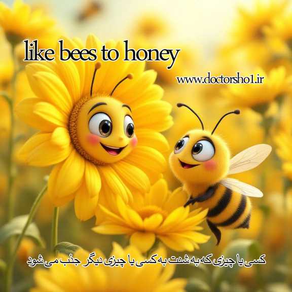 اصطلاحات زبان انگلیسی