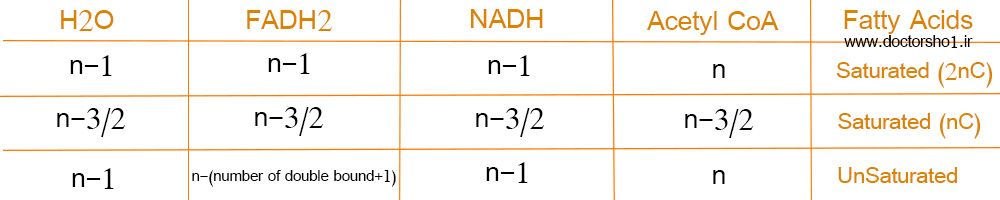 کاتابولیسم چربی ها